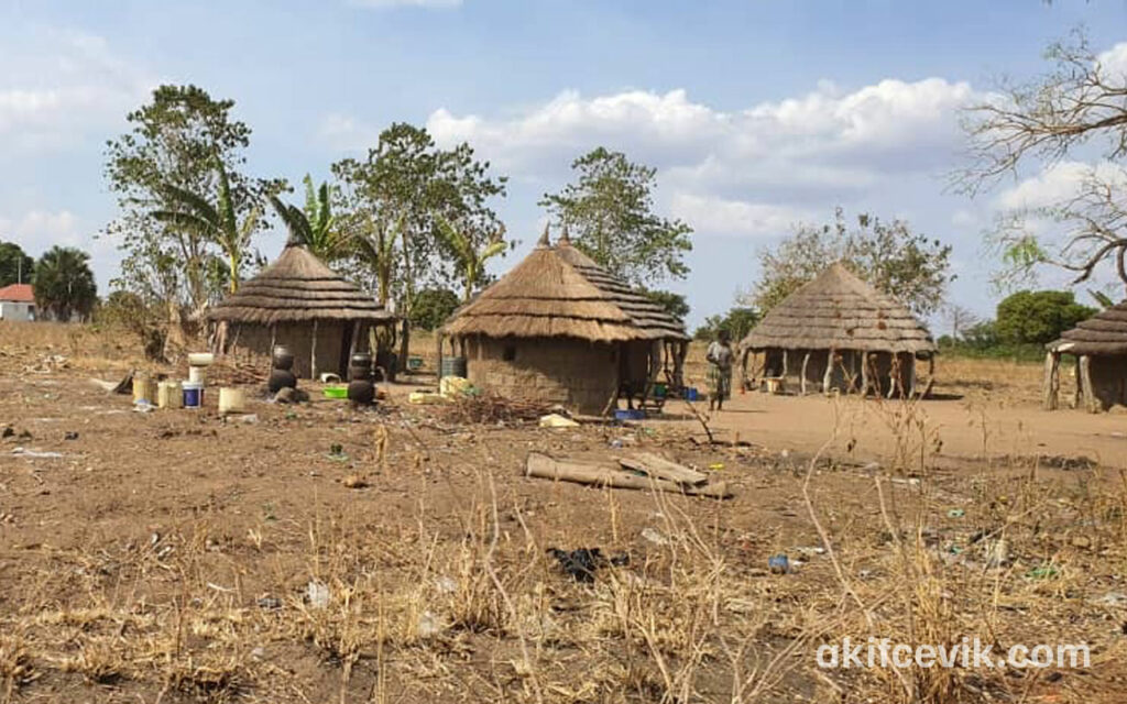 a rural settlement of houses with thatched roofs